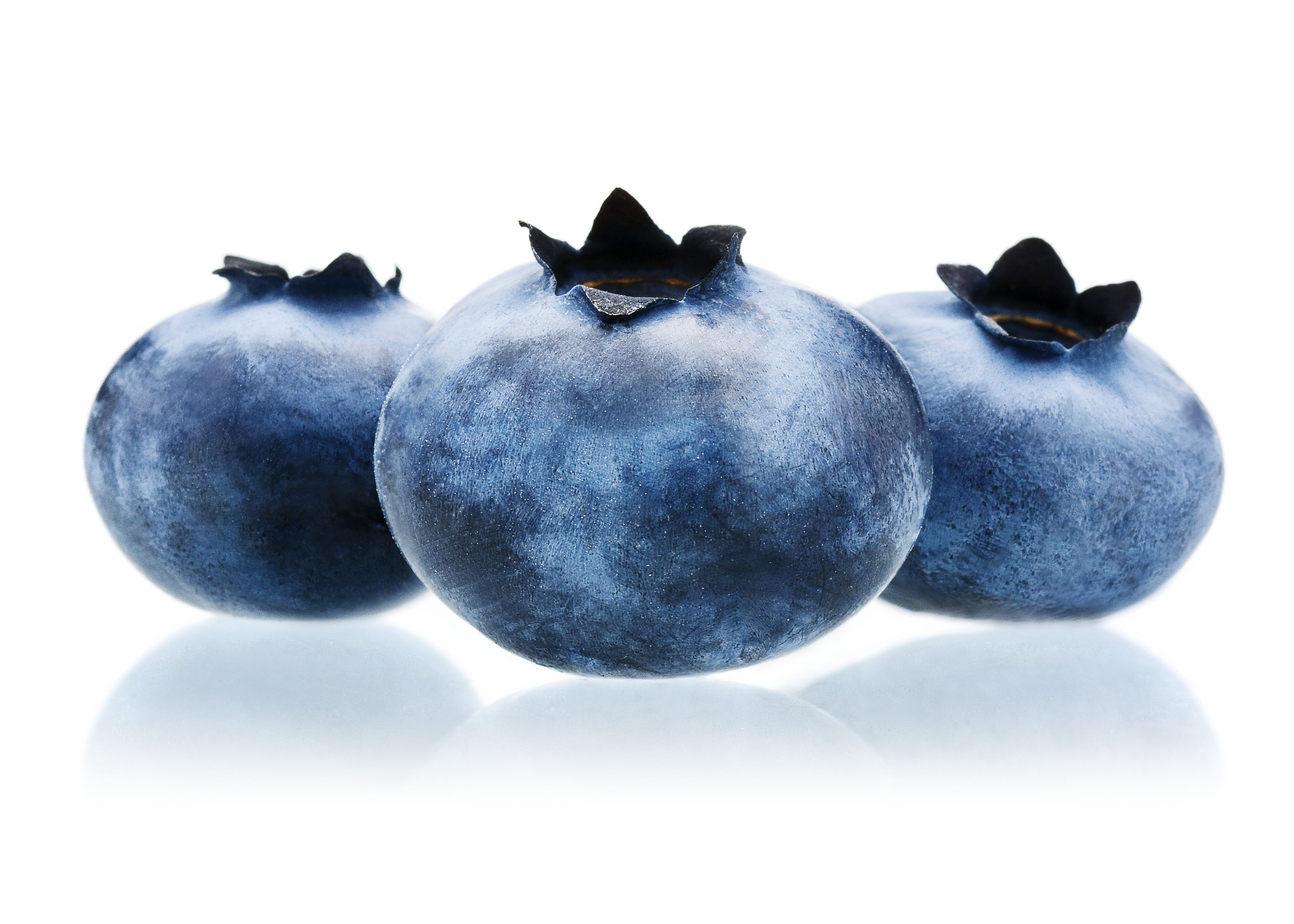 Blueberries_Dry